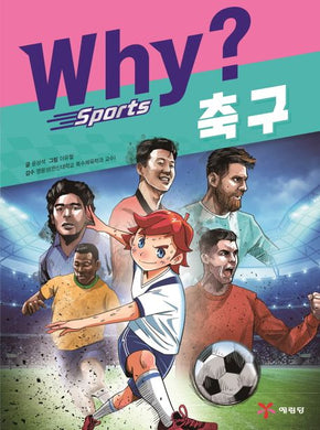 Why? 와이 스포츠 축구